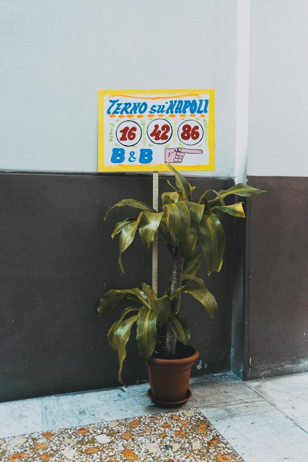 Terno Su Napoli Bed & Breakfast ภายนอก รูปภาพ